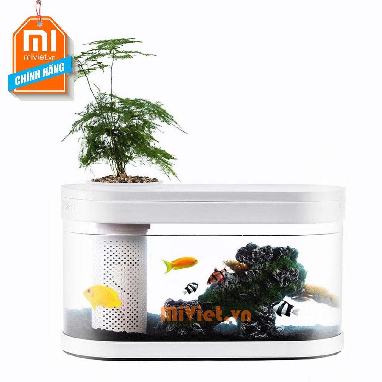 Bể cá thủy sinh mini Xiaomi
