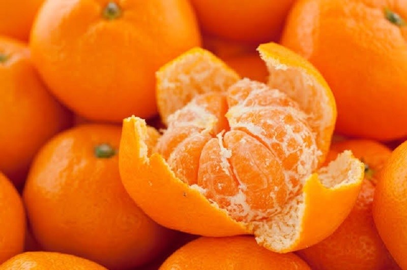 Cây giống Quýt đường Thái Lan.