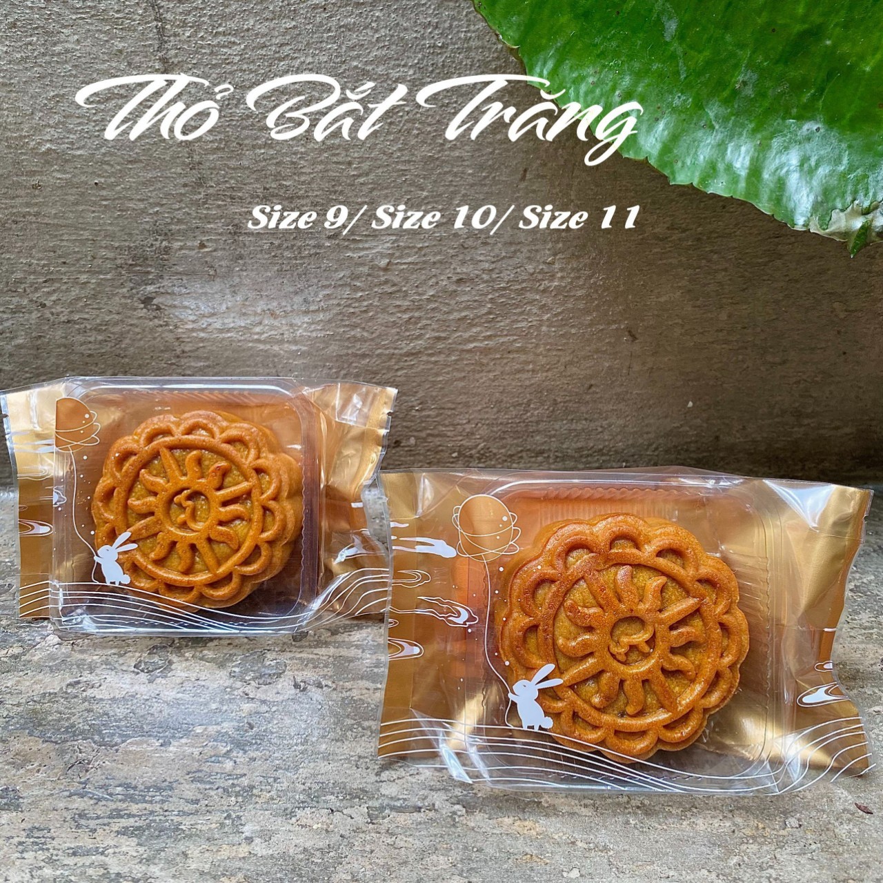 SET100 Khay / túi hàn trung thu 150g ( khay, túi bán riêng)