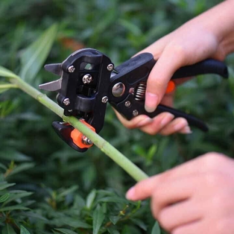 bộ kéo ghép cành đa năng