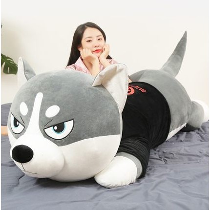 Gấu bông chó husky, Gối ôm ngủ chó mặc áo siêu to khổng lồ, Gấu bông nằm ôm dáng dài , vải 4 chiều hàn quốc