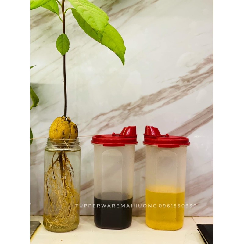 [HCM]Bình Đựng Dầu Ăn  Nước Mắm Tupperware 650Ml