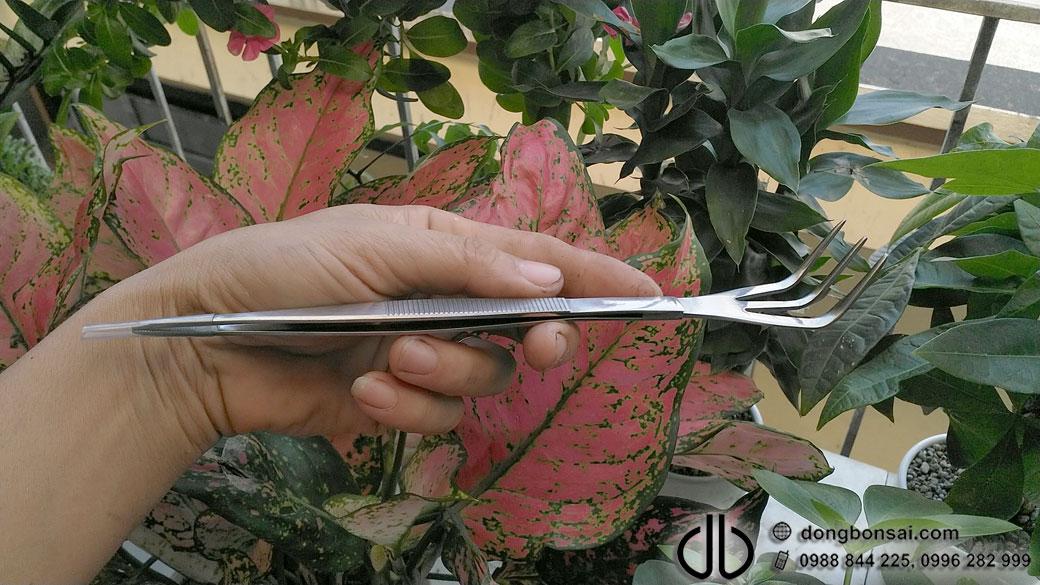 Cào rễ + nhíp Ryuga RS-15B