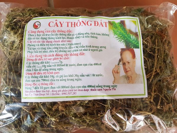 500g cây thông đất khô GT334