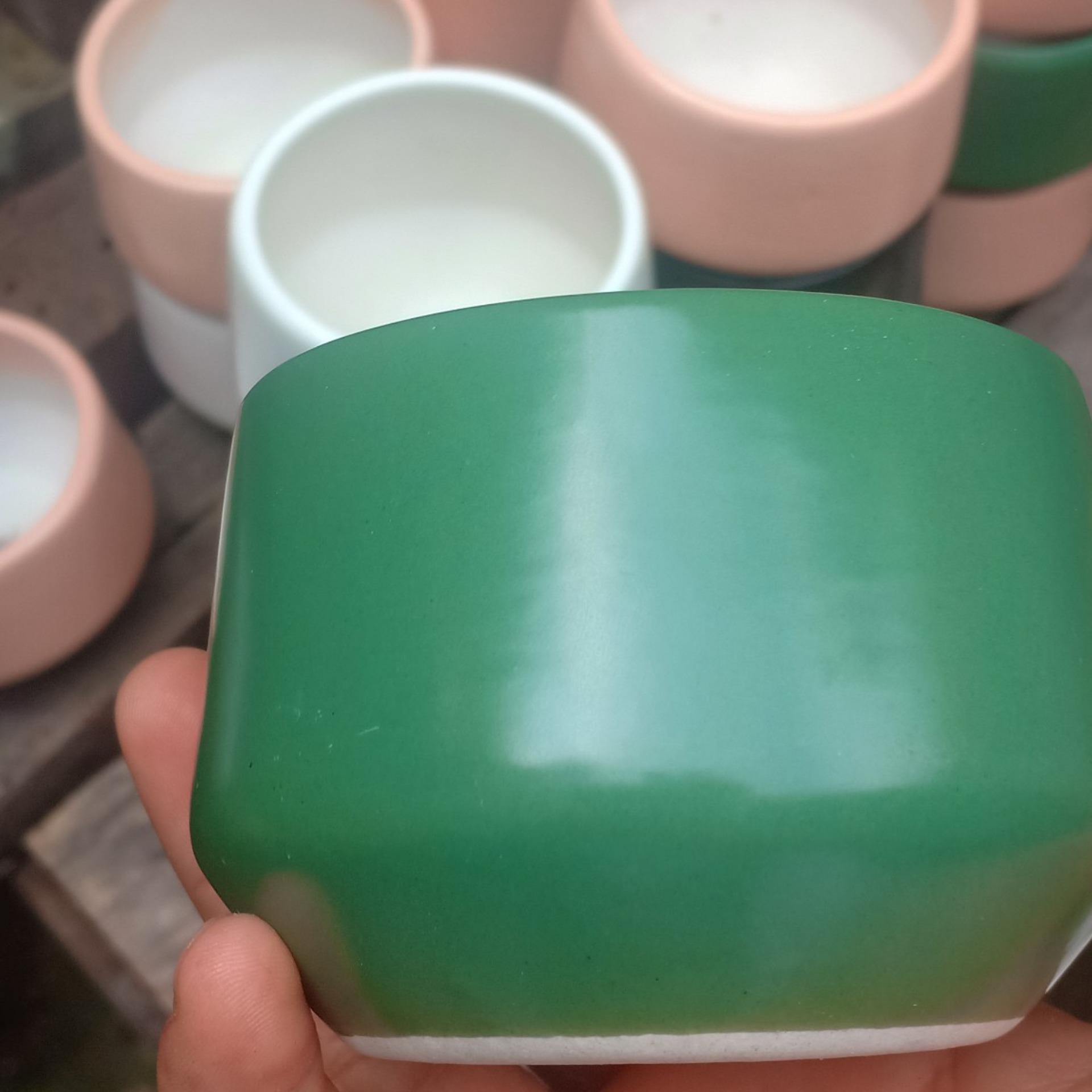 Combo 3 Chậu sen đá ( cả cây và chậu )