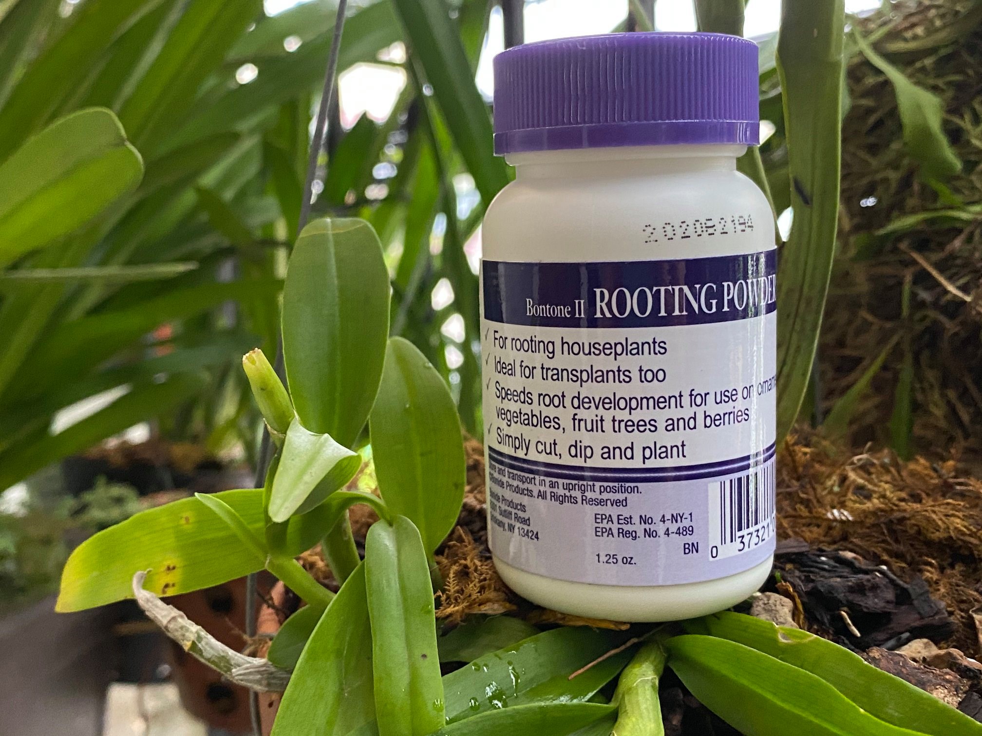Rooting Powder Mỹ