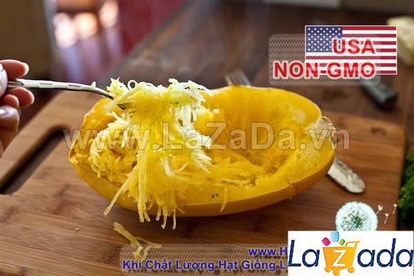 50GR 300.HẠT Hạt Giống Bí Sợi Mì Ý Spaghetti (| C38A*W44)