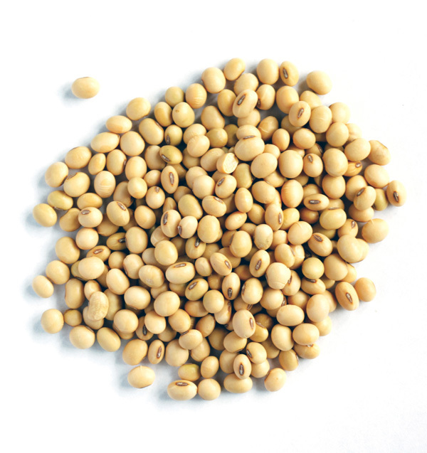 [HCM]1kg Đậu nành quê sạch (Đỗ tương đậu tương)