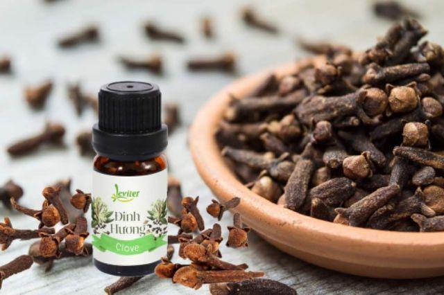 Leviter - Tinh dầu Đinh hương 10ml