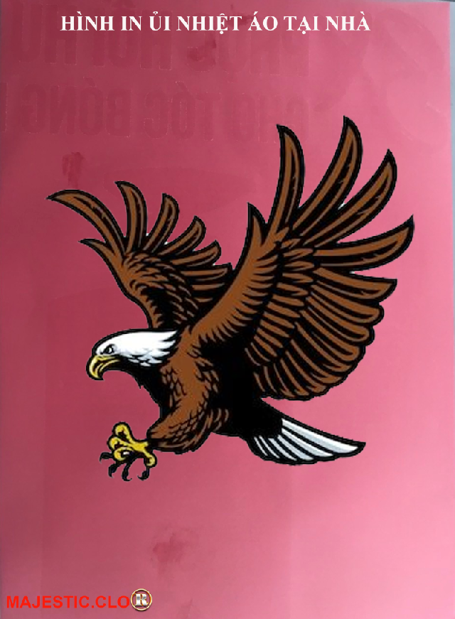 Sticker Logo American Eagle FOR IRON CLOTHER