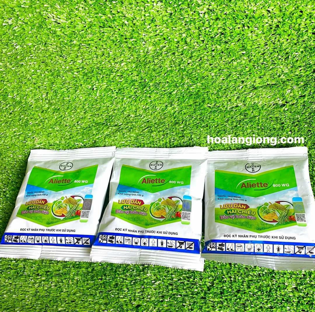 THUỐC TRỪ NẤM BỆNH ALIETTE 800WG