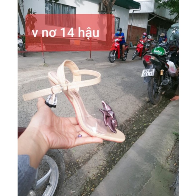 giày xinh cao gót nữ 2p-9p size 33-44(big size)