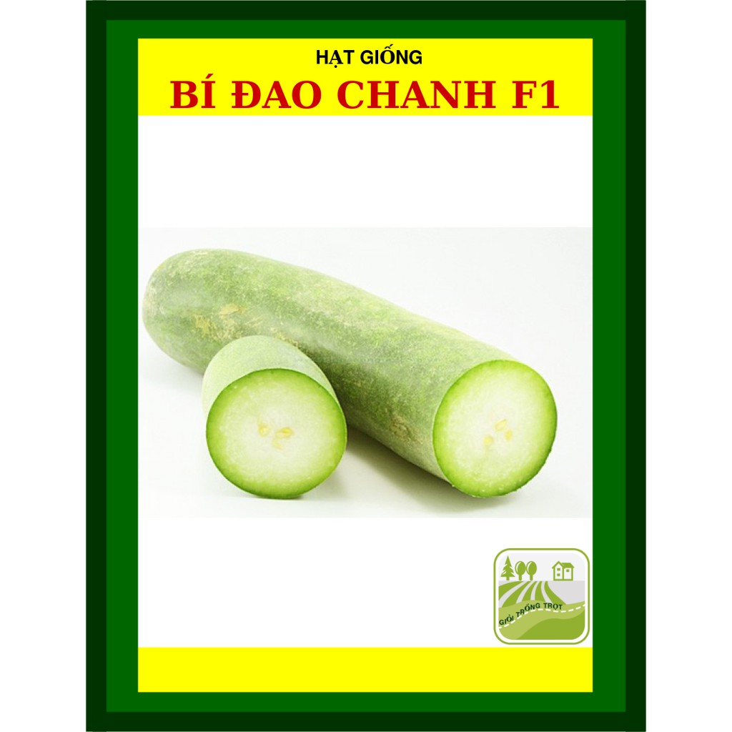 Hạt Giống Bí Đao Chanh F1 20 Hạt