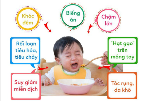 [HCM]Bifibaby Drops