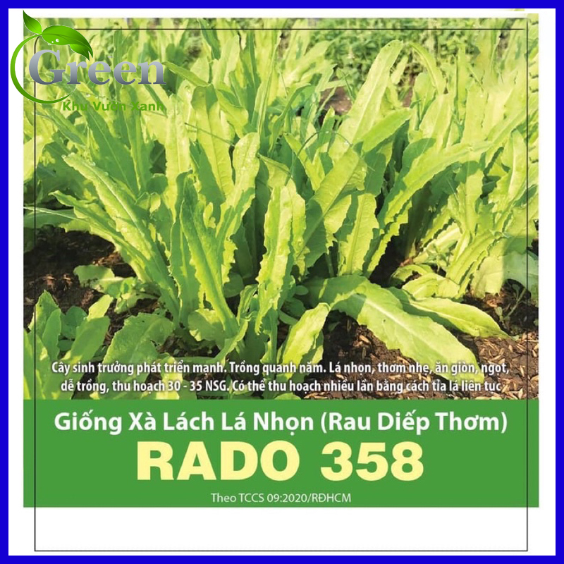 Hạt Giống Rau Diếp Thơm - Xà Lách Nhọn - Cải Nhíp Nảy Mầm Tốt (10 Gam)