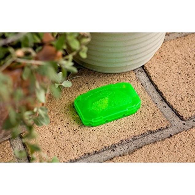 Thuốc diệt kiến Super Koroki Japan (Vỉ 2 hộp)