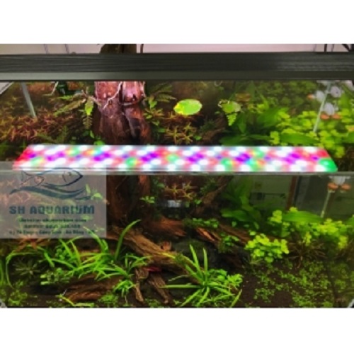 [HOÀN TIỀN 10%]ĐÈN LED WEEK RAPTOR RGB D60CM