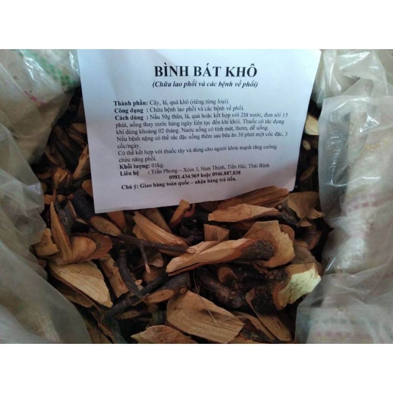 Trà Cây bình bát khô - hỗ trợ lao phổi nặng