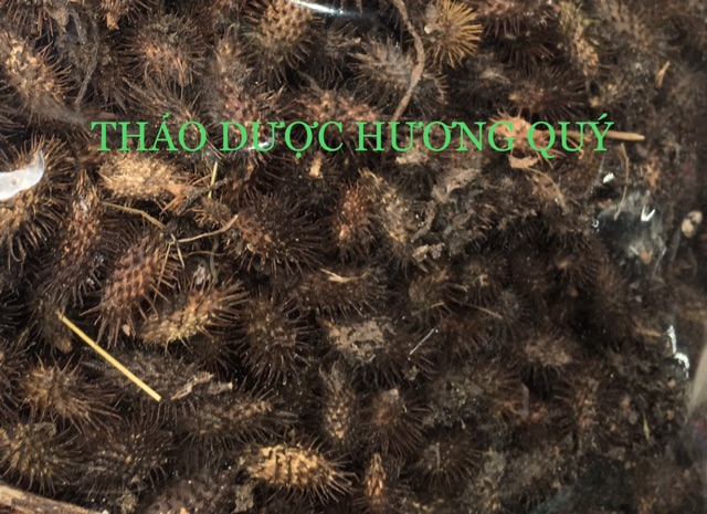 1Kg Ké Đầu Ngựa khô, sạch