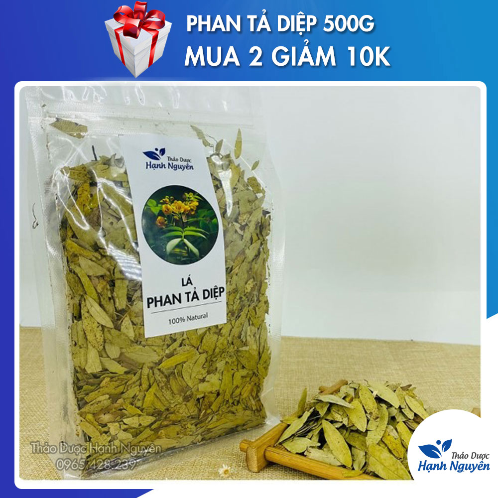 Phan tả diệp 500g (Hàng loại 1, thơm, sạch) - Thảo dược Hạnh Nguyên