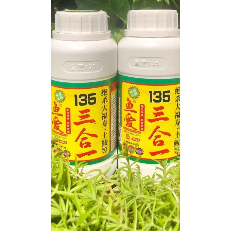 Tinh Mùi Trứng Sữa và 135 Đi Câu Cá