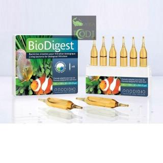 Vi sinh PRODIBIO BioDigest 1 ống lẻ thumbnail