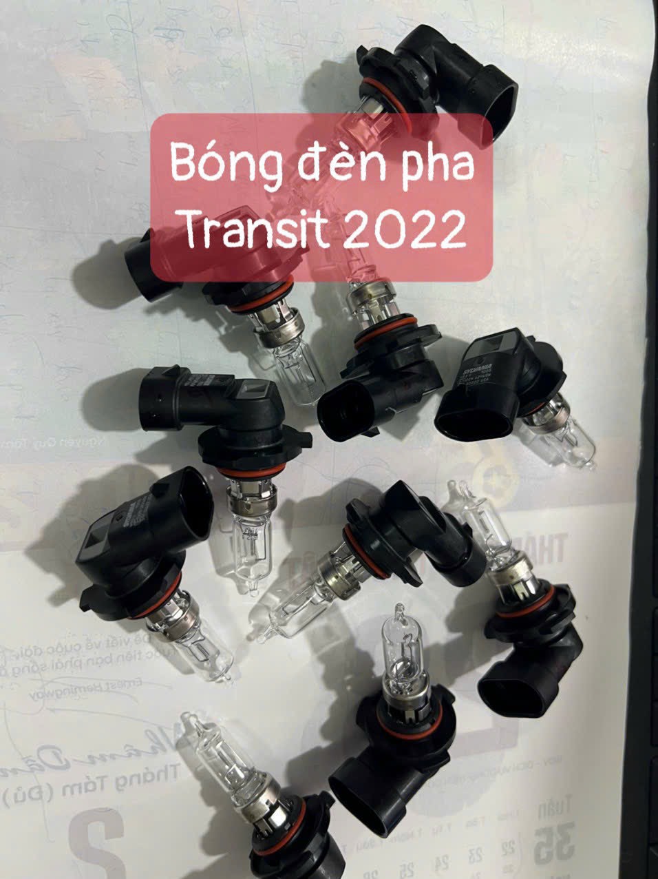 Bóng đèn pha ford transit 2022 chính hãng Phạm văn auto