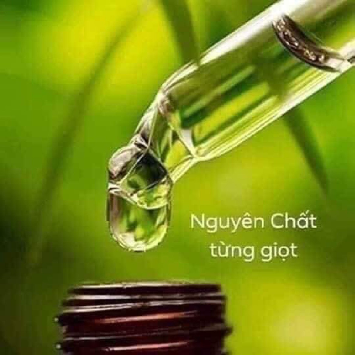 [SP CHÍNH HÃNG] Tinh dầu răng miệng Tâm An, trắng răng thơm miệng