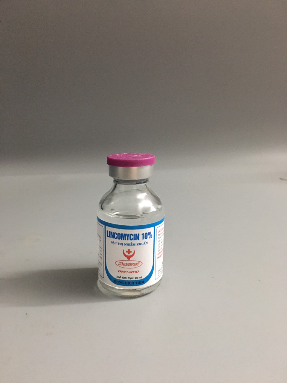 Lincomycin 10% - dùng cho chó, mèo, gia súc, gia cầm