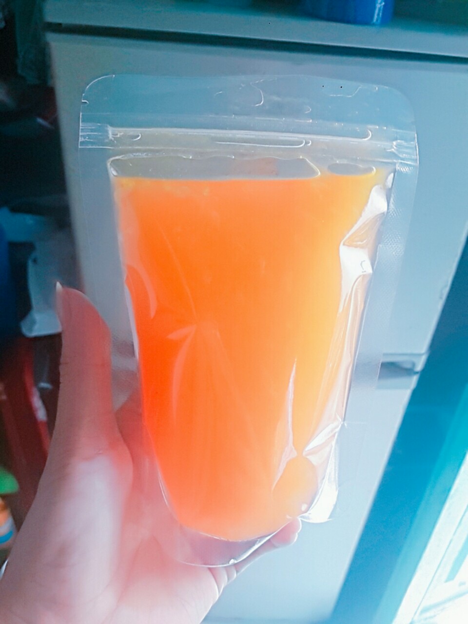 [500gr/size] túi zipper 2 đáy đứng mặt trong suốt