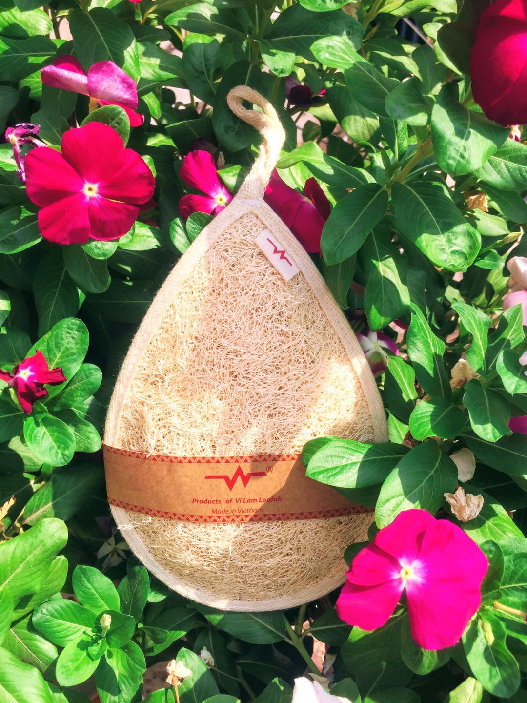 (VI LÂM) Set 2 Miếng rửa bát xơ mướp Sạch dầu mỡ, thân thiện với môi trường (Natural loofar dish clean) Koshka Home