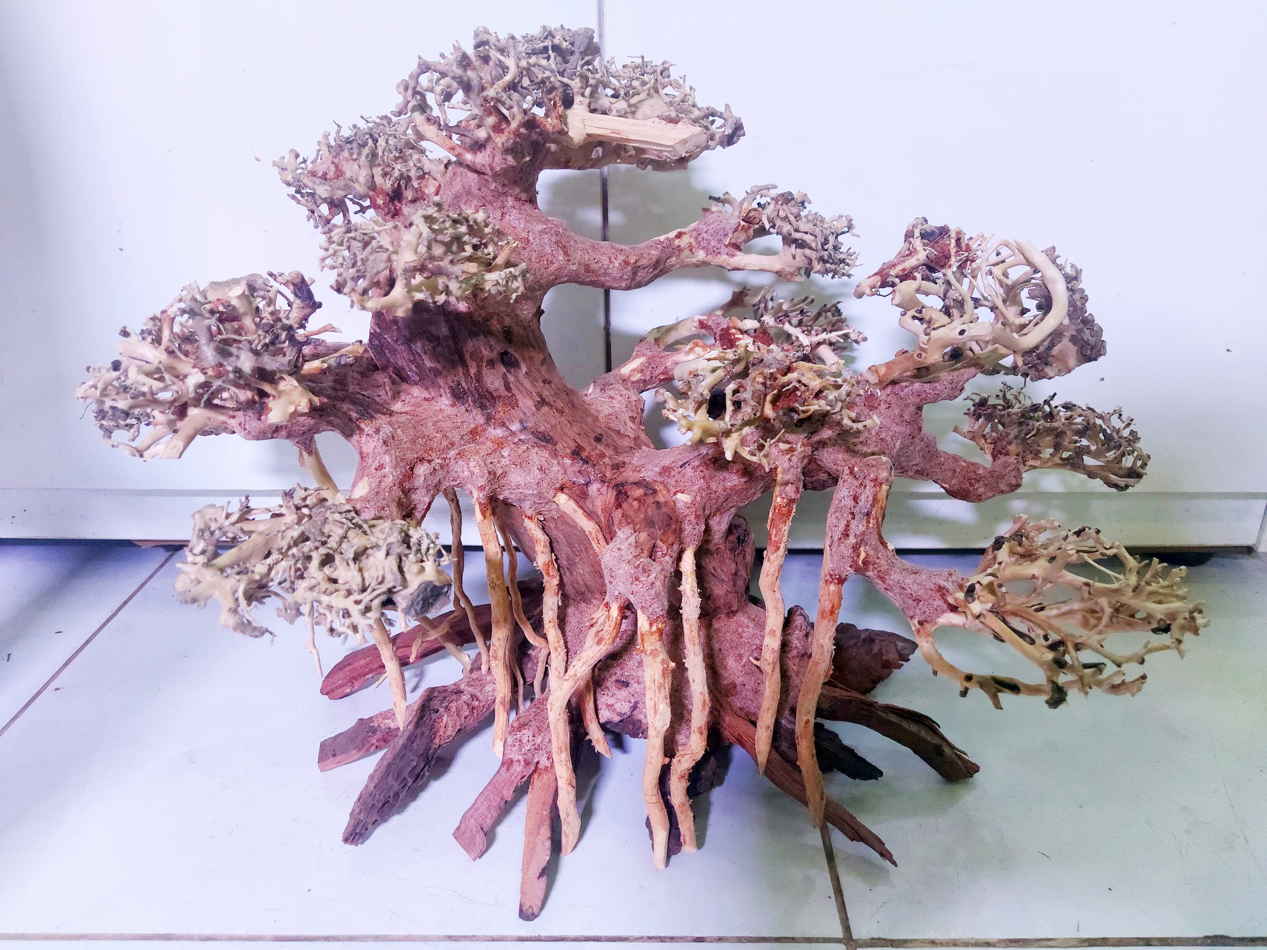 Lũa Bonsai Mini kiểu dáng xoè Trang Trí Bể Cá - Bể Thủy Sinh (C:30cm D: 40cm)