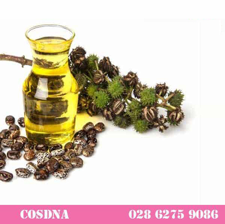 500ml dầu thầu dầu loại 01 .