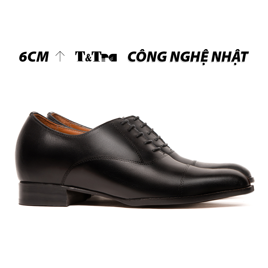 Shoes height increasing Men T & check N311 Brown gold