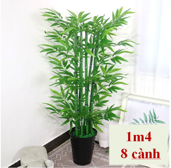 Cây Tre Cảnh