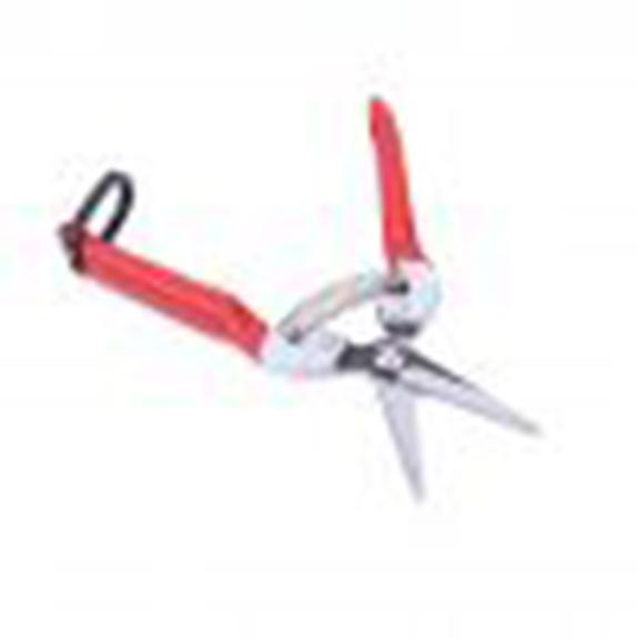 Bộ combo 2 Kéo cắt tỉa cành hoa lá 18,5cm