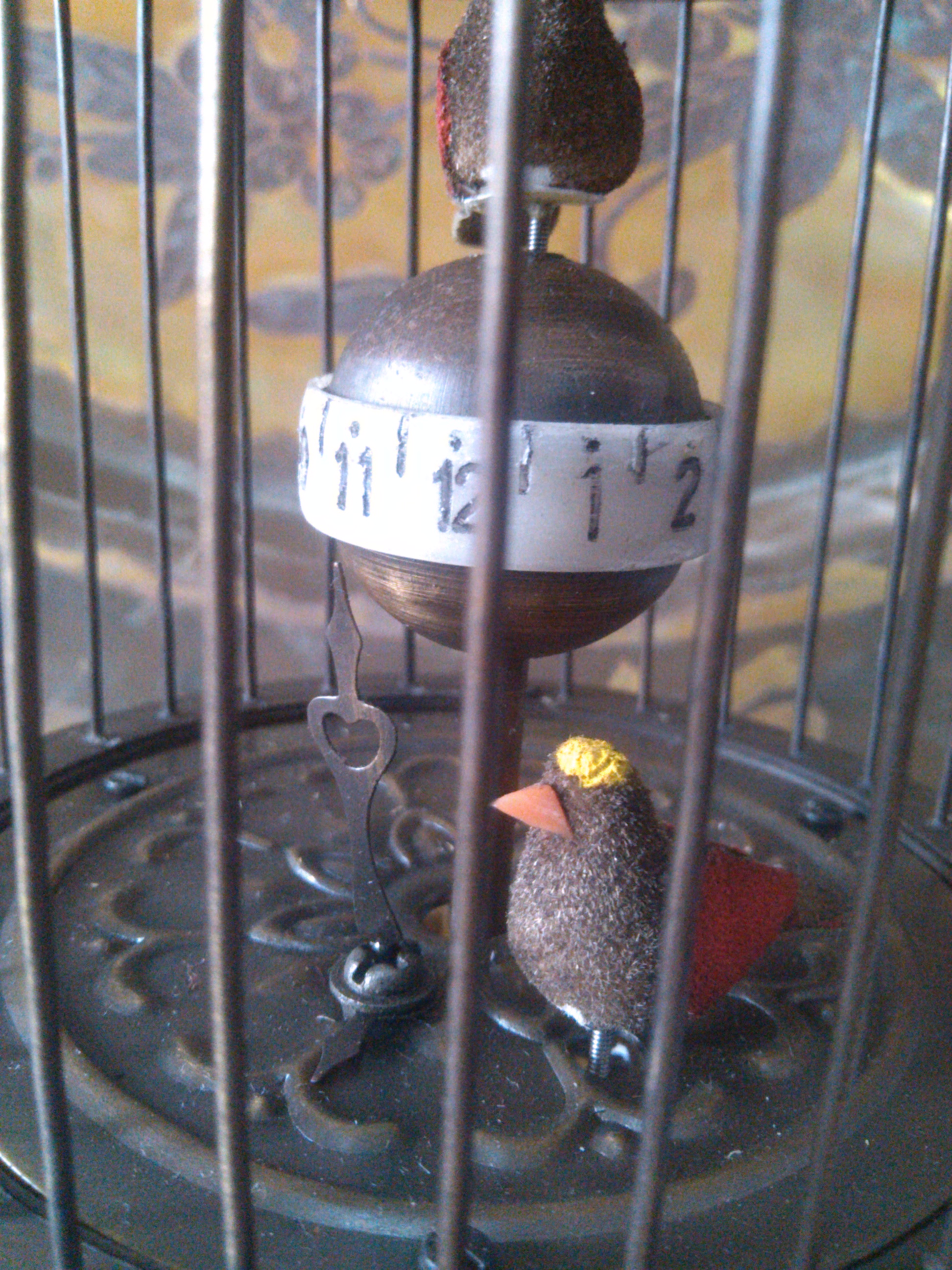 Đồng hồ lồng chim