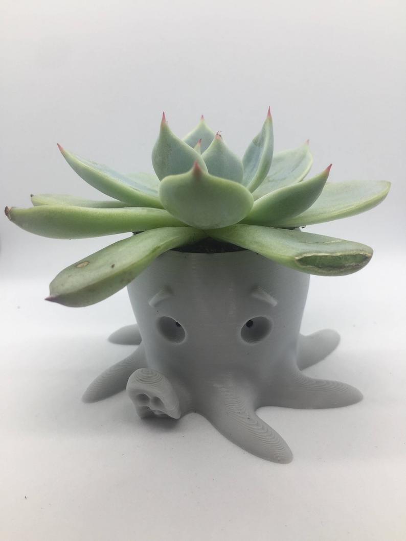 Chậu cây bạch tuộc siêu dễ thương - Cute Octopus planter
