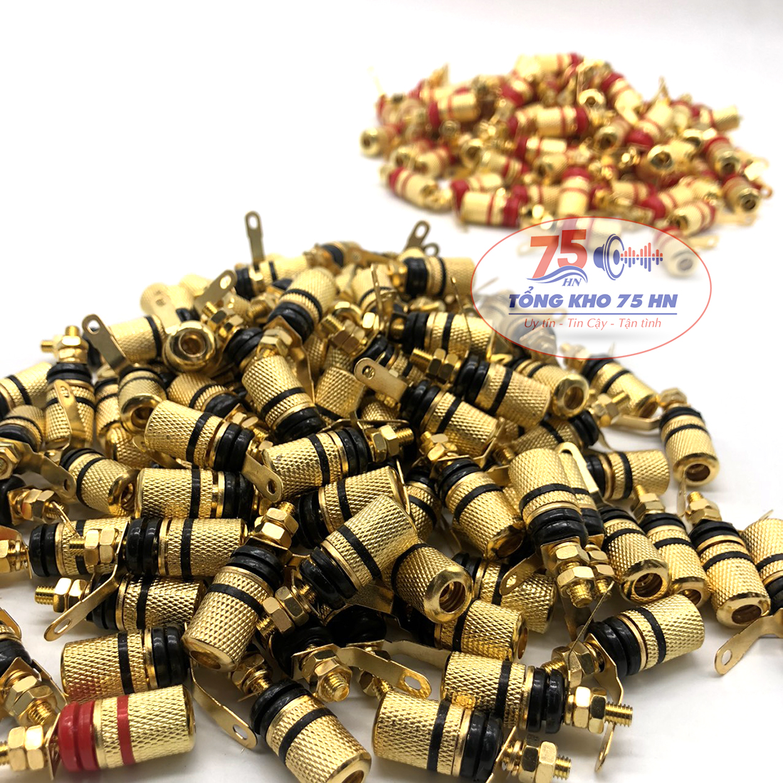 Cọc loa bắt ốc ở chân( đơn giá 1 cặp)