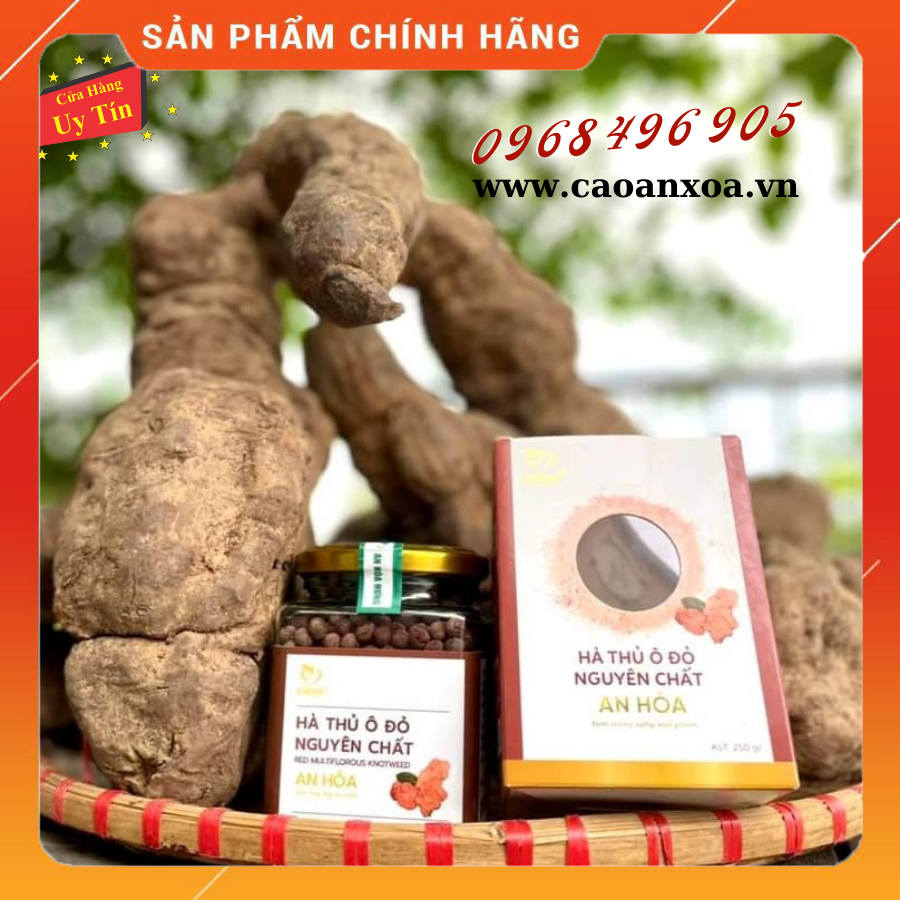 HÀ THỦ Ô ĐỎ NGUYÊN CHẤT AN HOÀ!