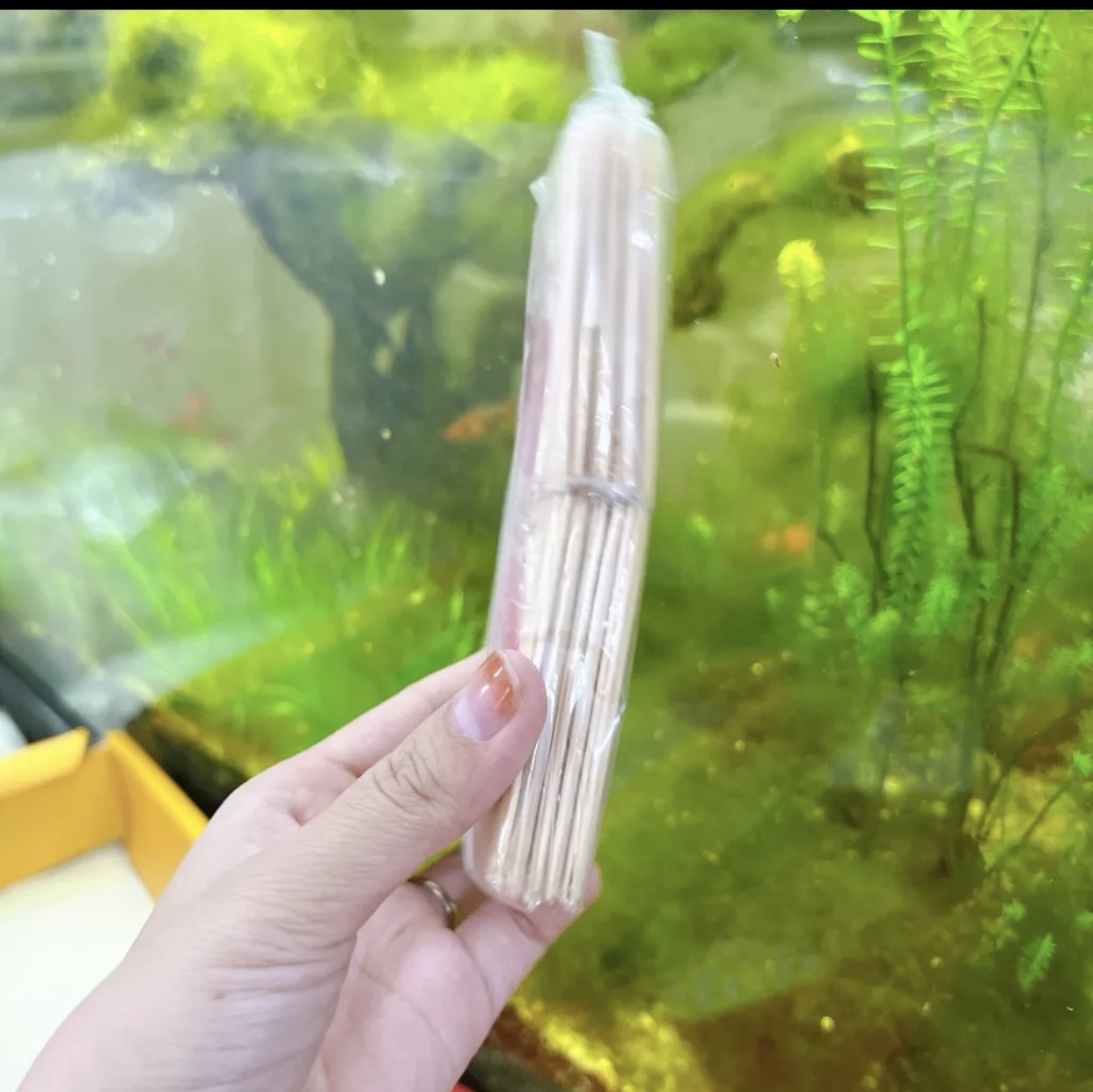 Combo 10 bịch tăm tre xỉa răng Ngọc thu cao cấp