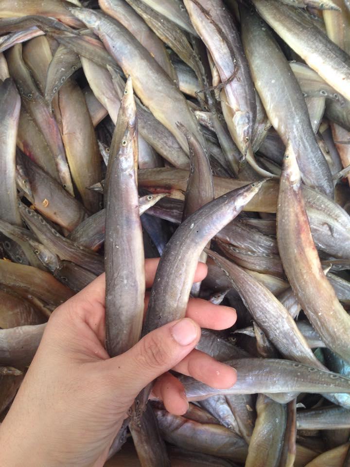 KHÔ CÁ CHẠCH