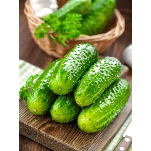 Hạt giống dưa leo bao tử