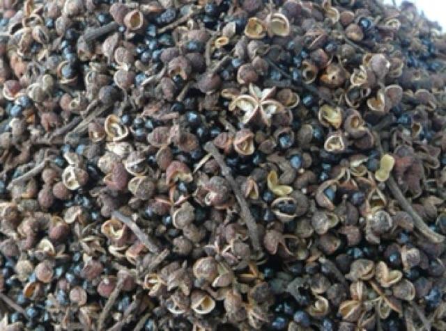 Combo 0,2kg mắc khén+0,5lang hạt dổi