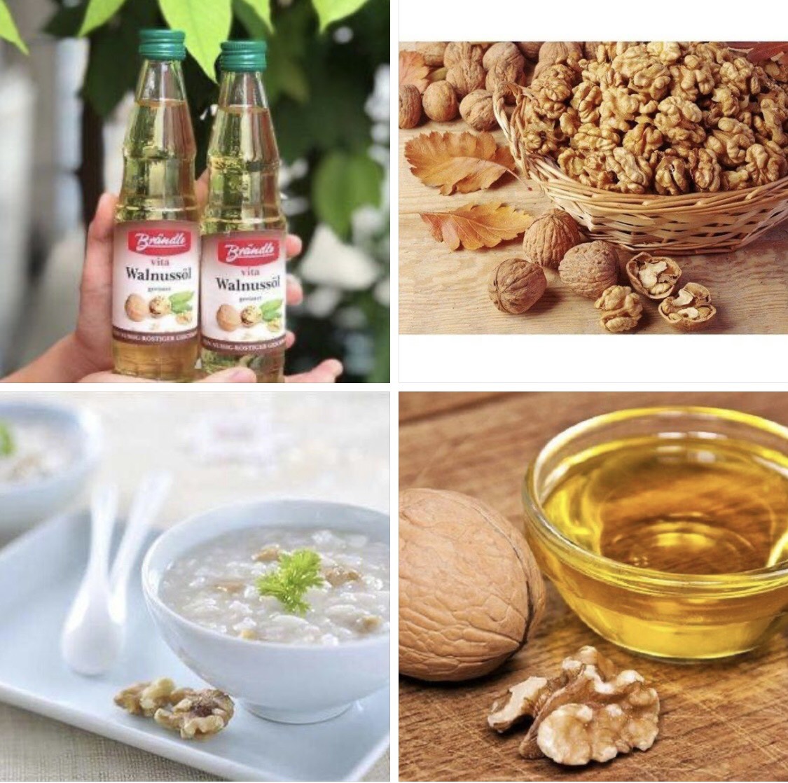 Dầu óc chó Đức 100ml date 2024