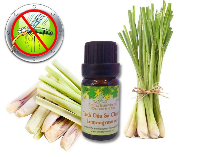 Tinh dầu Xả Chanh cao cấp 100% thiên nhiên