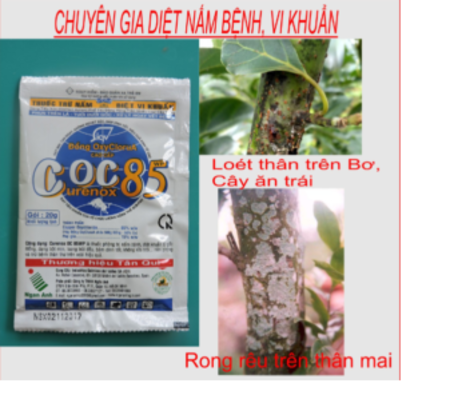 COC 85WP – THUỐC DIỆT TRỪ NẤM BỆNH CHO CÂY TRỒNG (GÓI 20G)