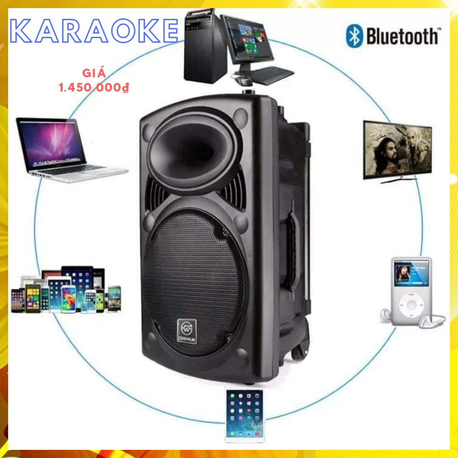 loa kéo karaoke bass 30+3 mic
