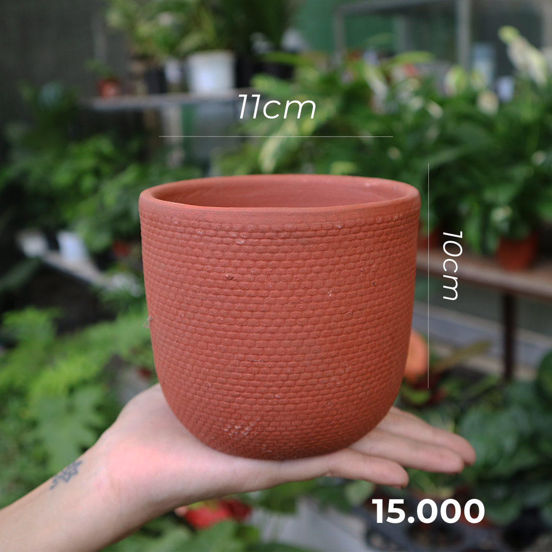 [GÓC THANH LÝ] Chậu đất nung thanh lý cực rẻ nhiều size