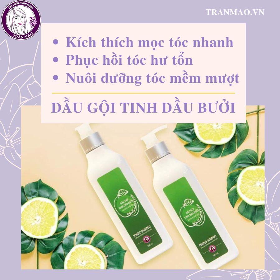 DẦU GỘI BƯỞI